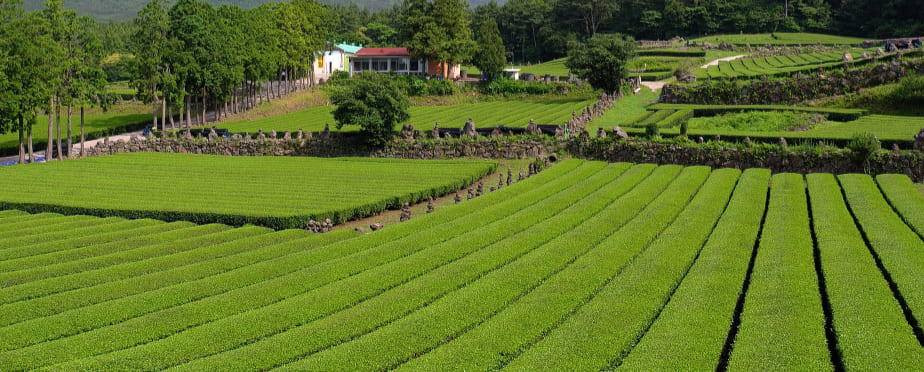 「SNS」ヴィジュアル2